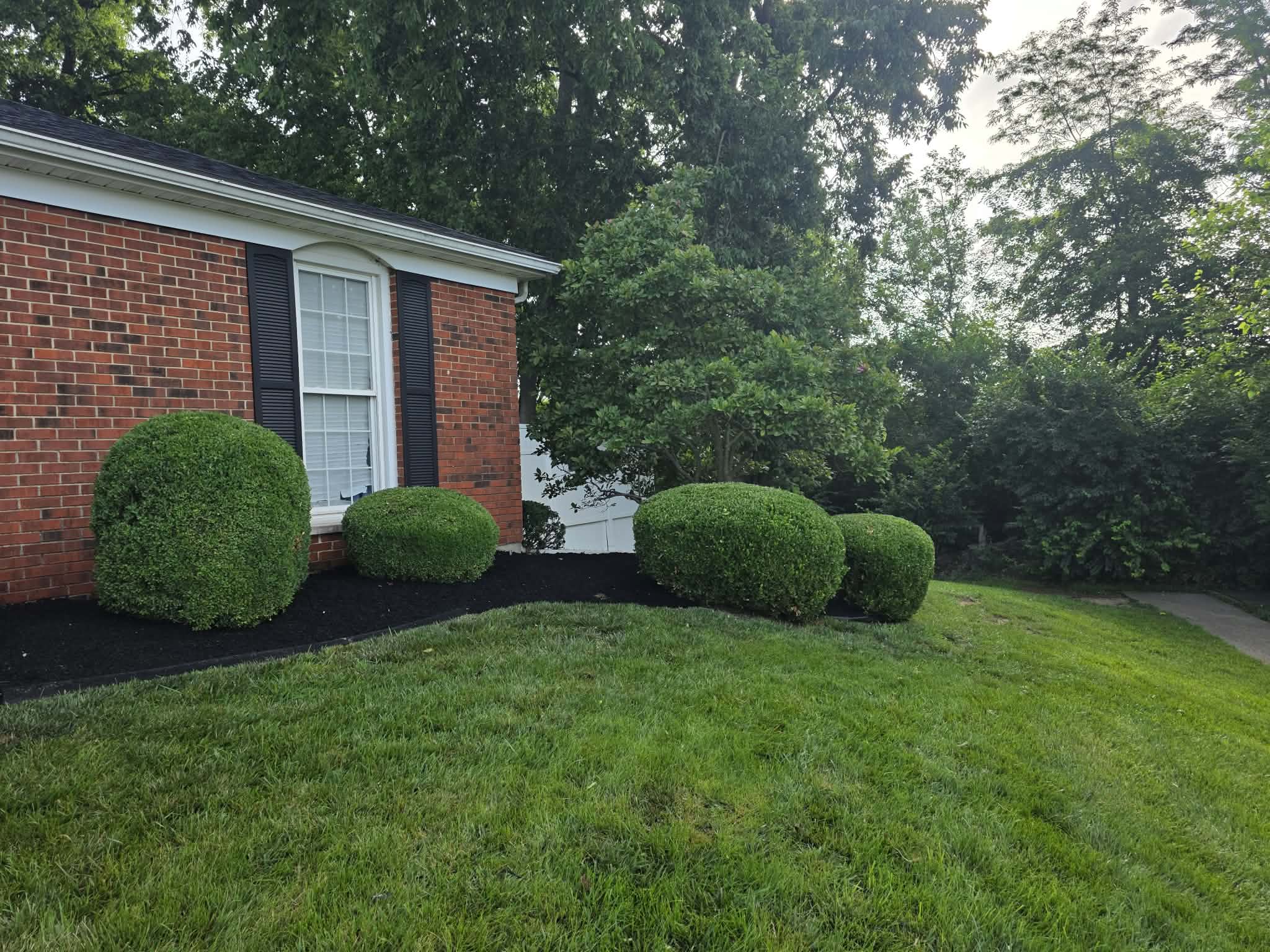 Flower Beds and Mulching