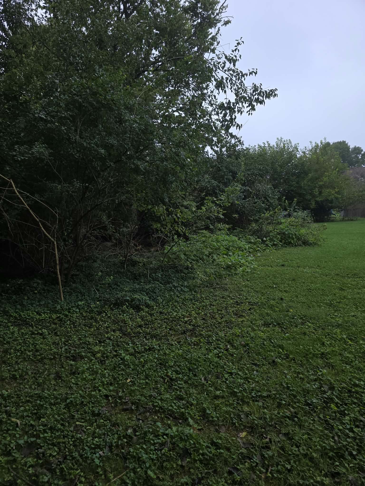 Land Clearing