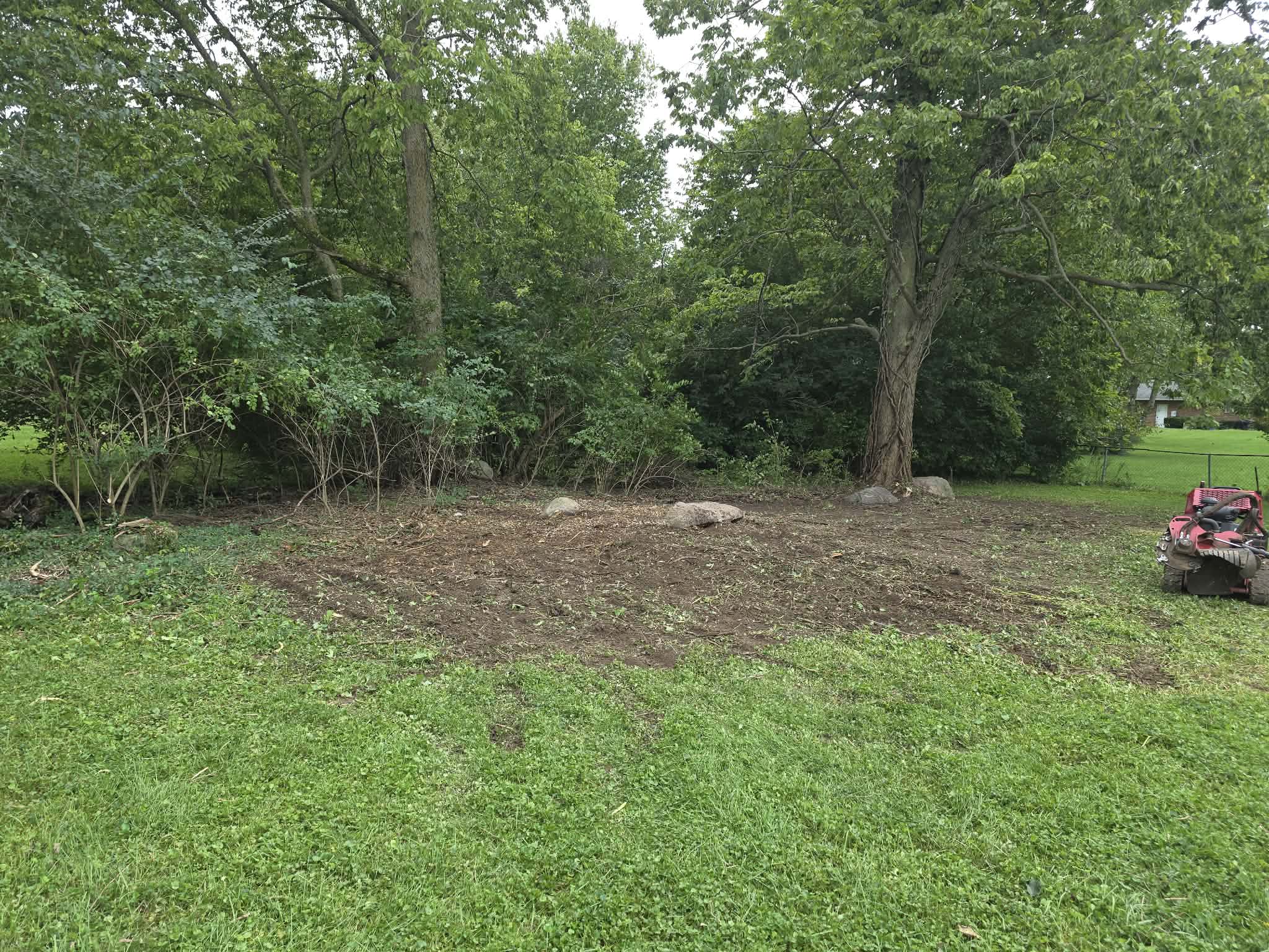 Land Clearing 2