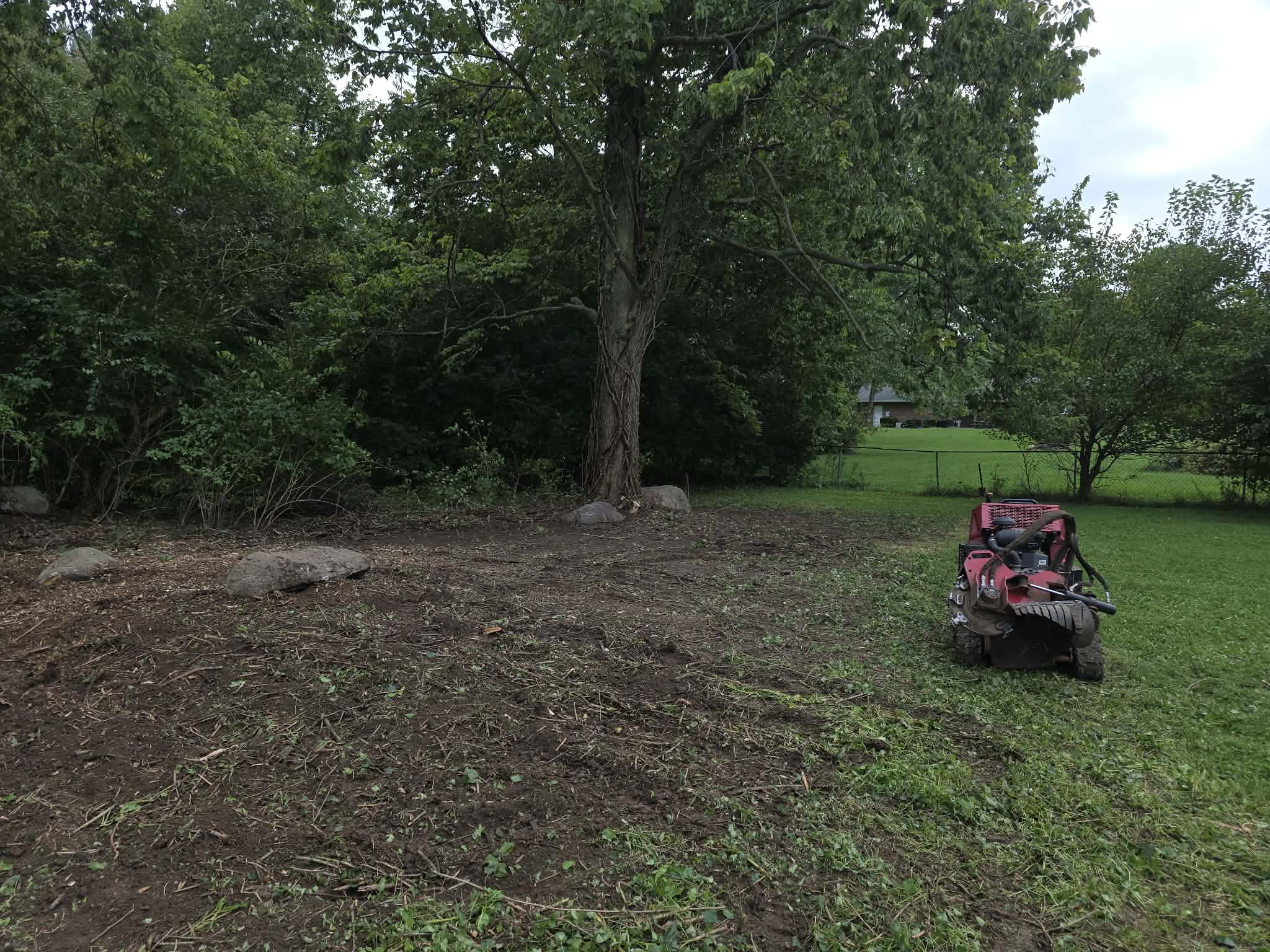 Land Clearing 3