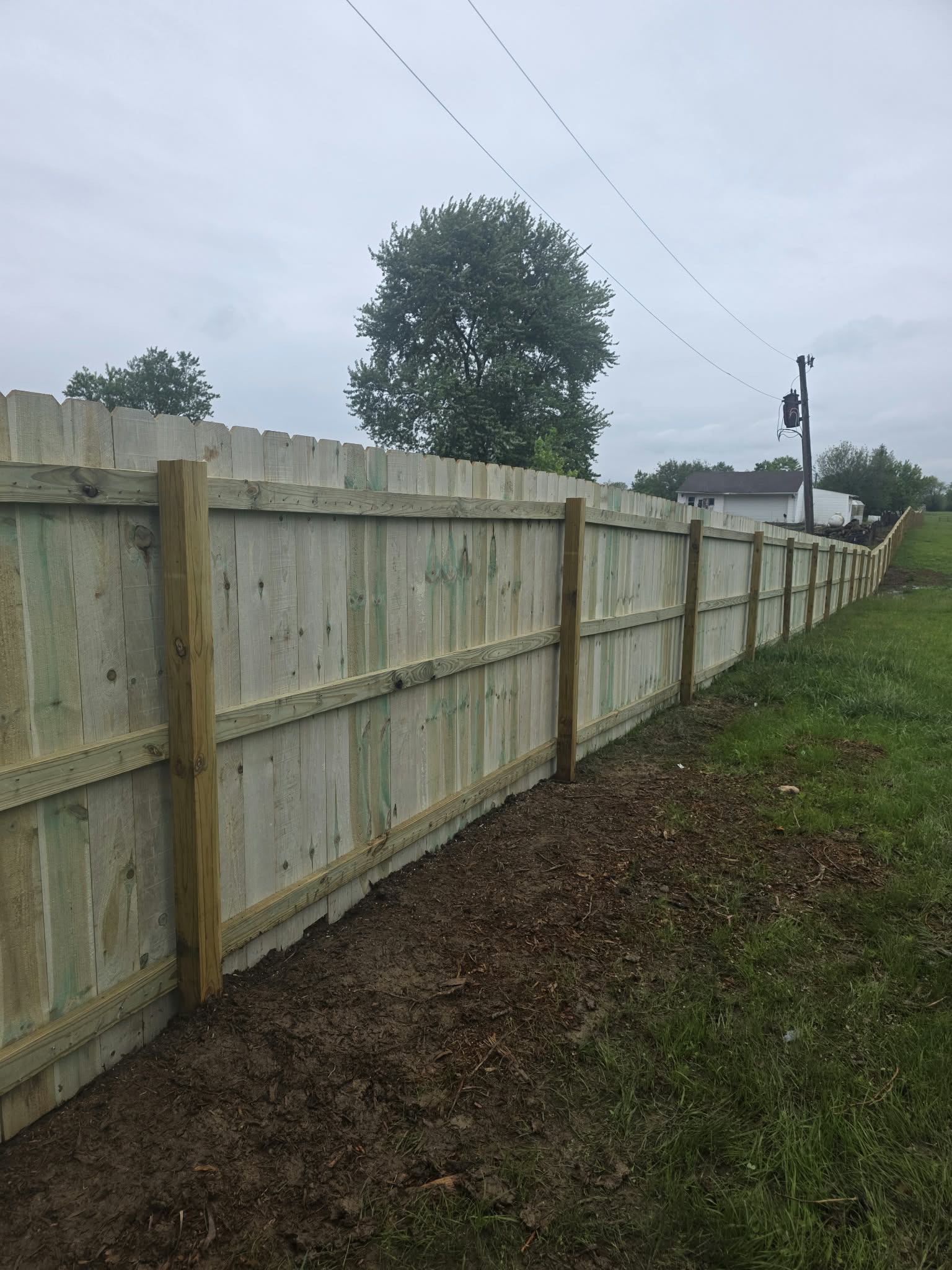 Fence Clean out
